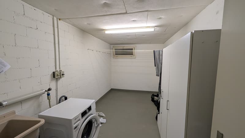Familienfreundliche 4.5-Zimmer-Erdgeschosswohnung in Wädenswil (11)