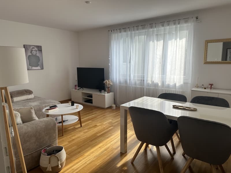 Helle, grosszügige 3-Zimmerwohnung Nähe Bahnhof (2)
