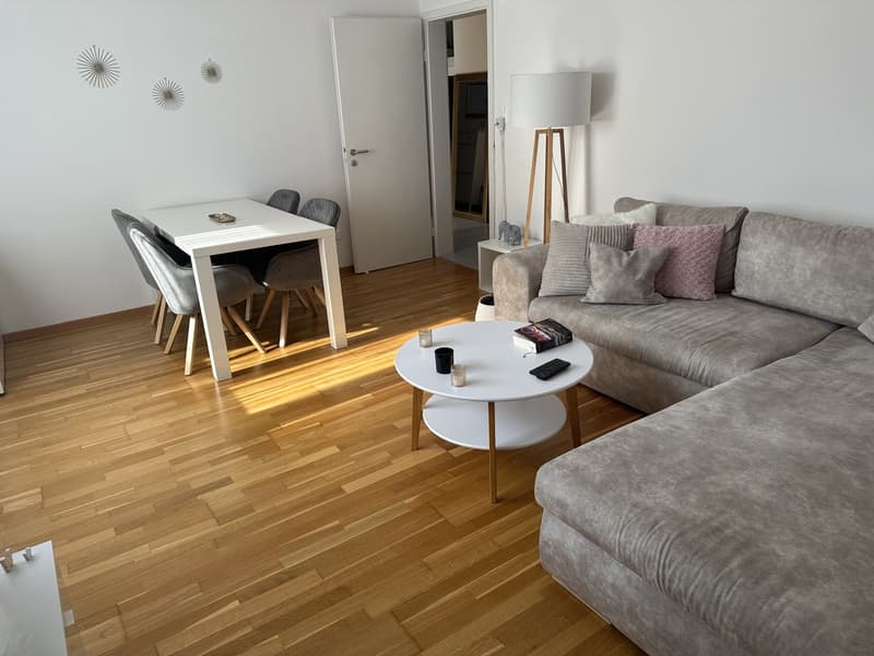 Helle, grosszügige 3-Zimmerwohnung Nähe Bahnhof (1)