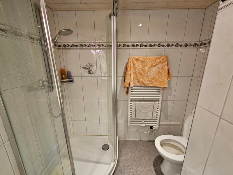 2.5 Zimmer Wohnung in Finstersee (9)