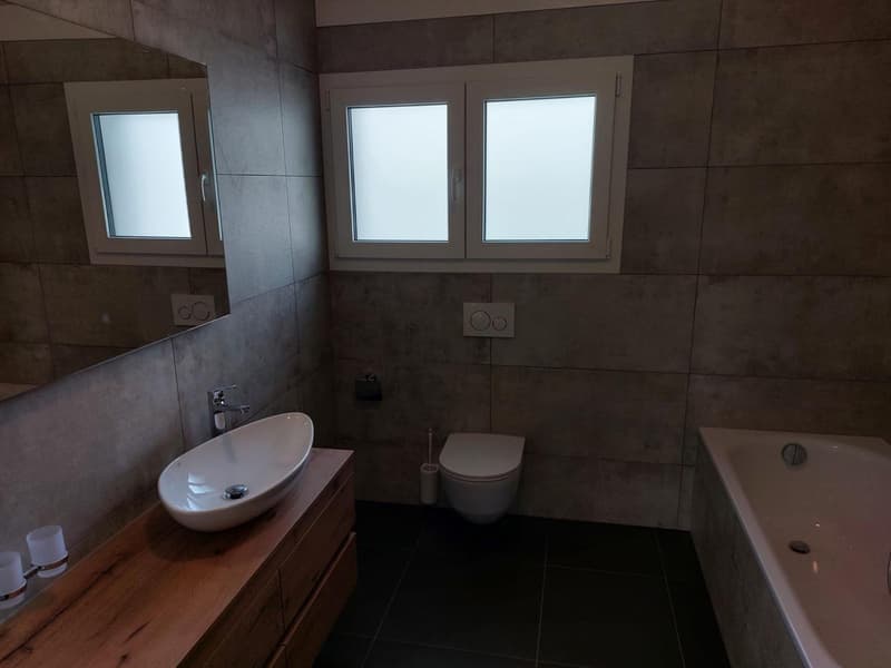 4.5 Zimmer Reihenhaus (3)