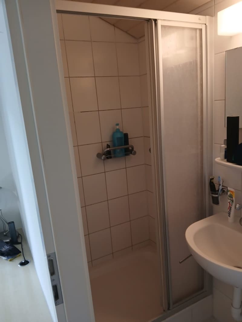 Möbliertes Zimmer zu vermieten (8)