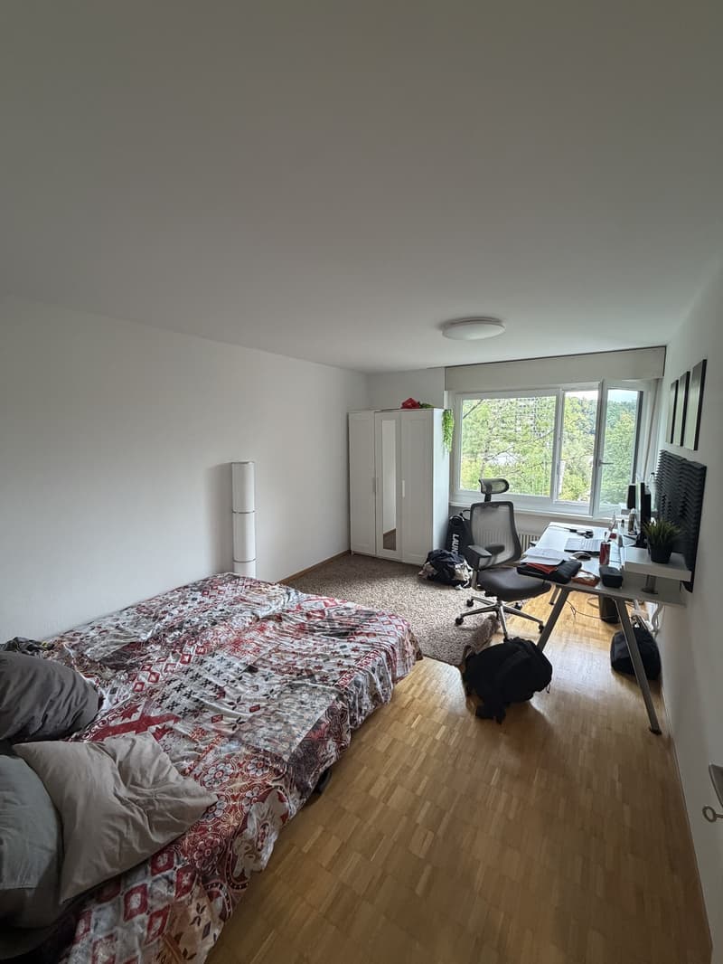 Ruhige 3.5-Zimmer-Wohnung (6)