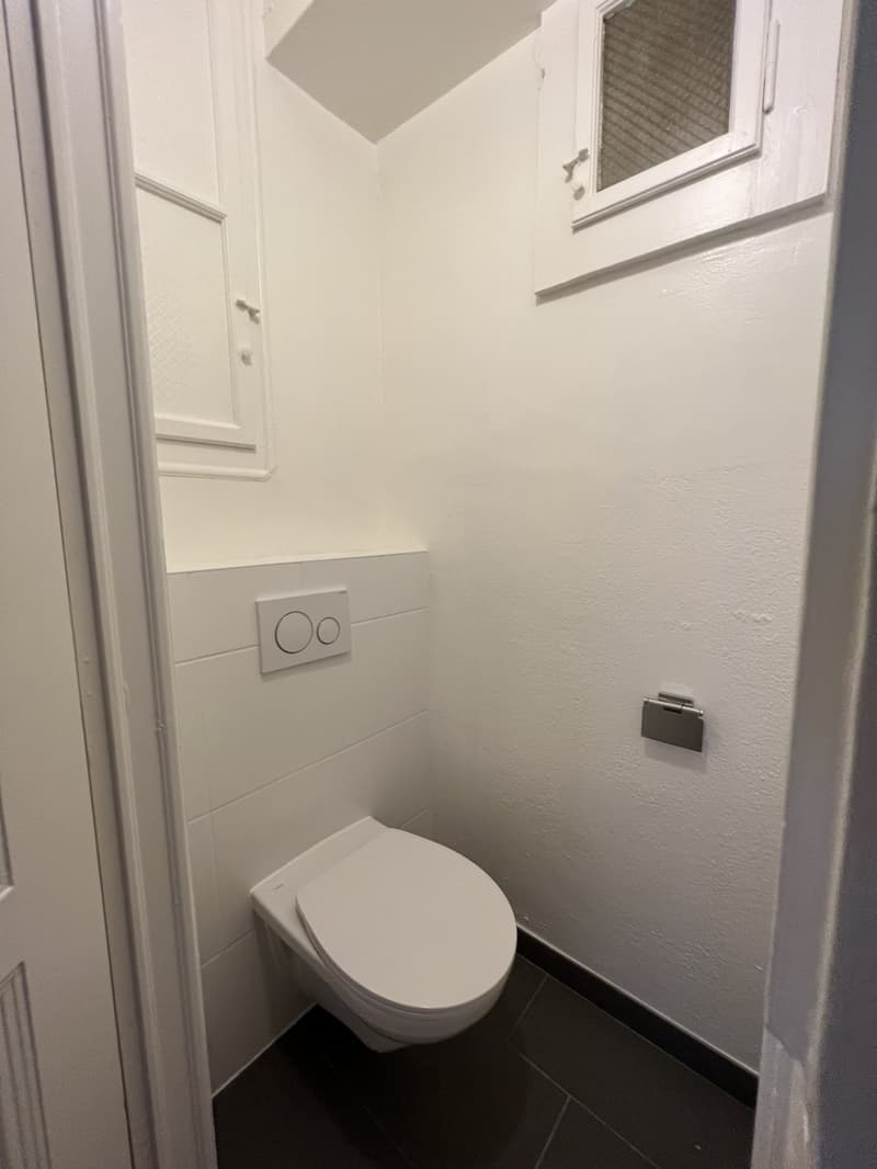 Reprise de bail  Bel appartement 3 pièces à Plainpalais (10)