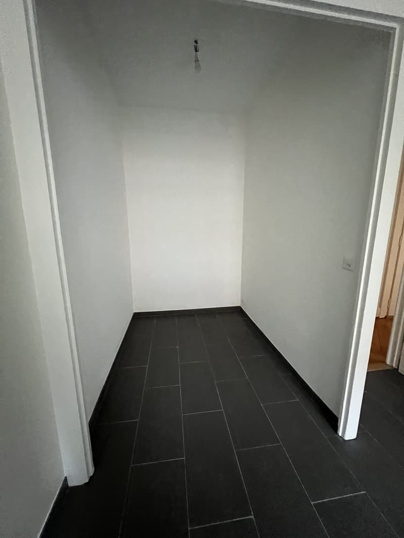 Reprise de bail  Bel appartement 3 pièces à Plainpalais (3)