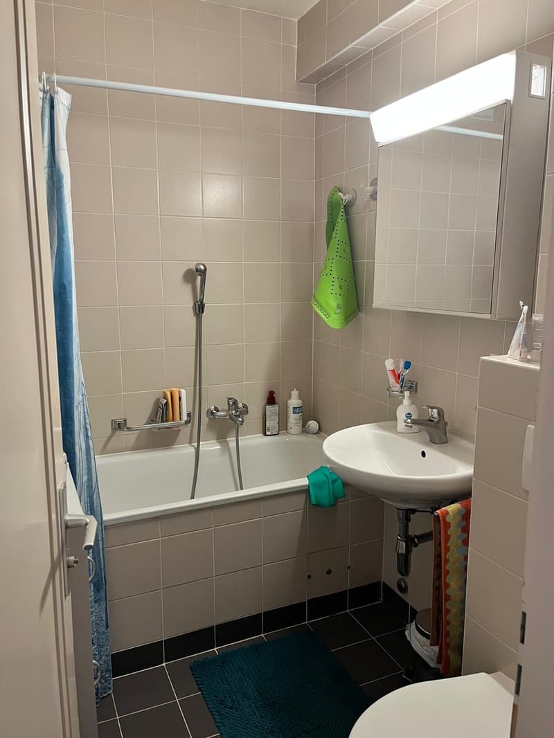 Appartement 2.5 pièces à louer Champel, Genève (3)