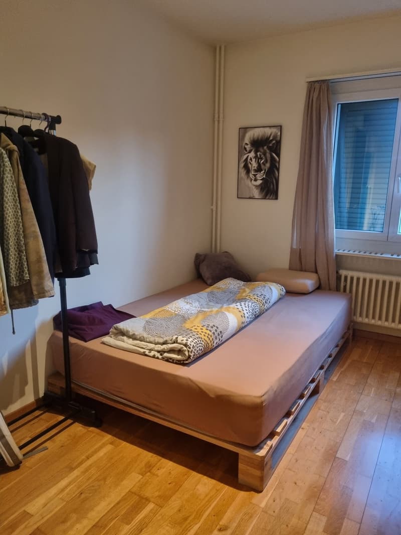 WG-Zimmer (1)