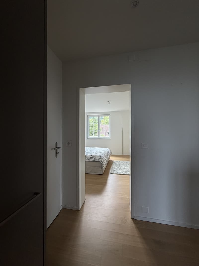 WG Zimmer, 8134 Adliswil (5)