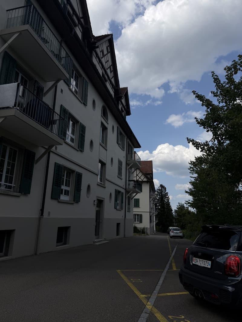 WG Zimmer, 8134 Adliswil (7)