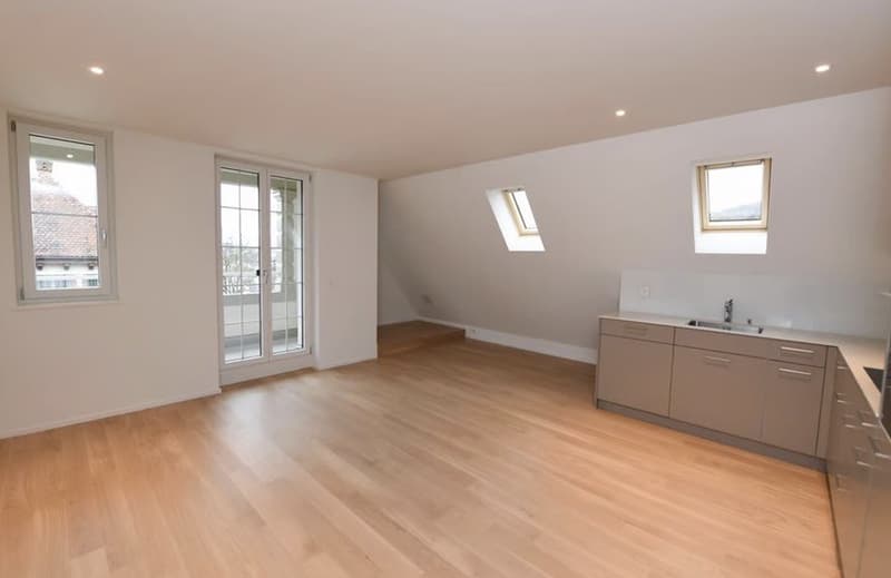 WG Zimmer, 8134 Adliswil (2)