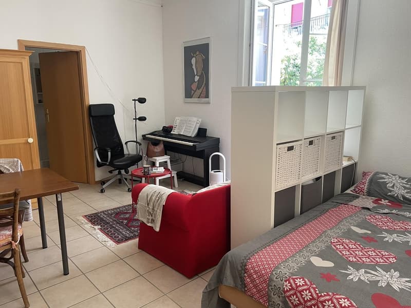 charmant studio à Montreux (3)