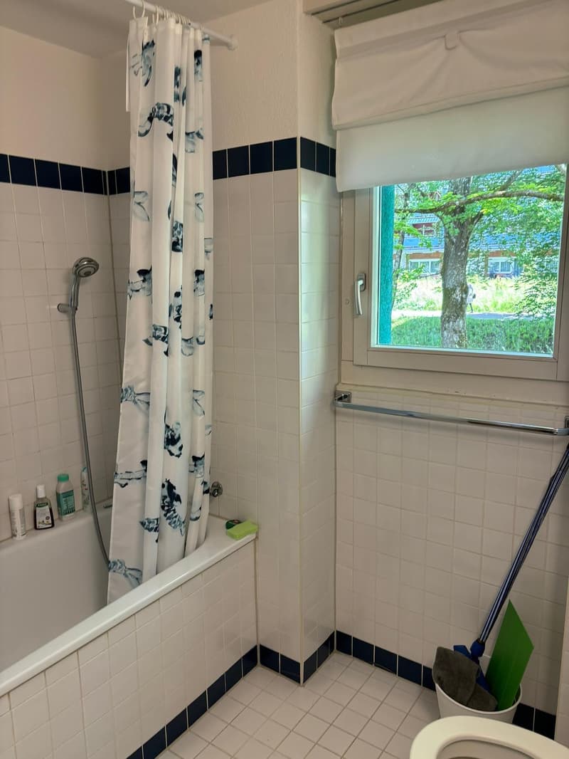 Room at Schwerzenbach train station (15 min to Zurich HB) (5)