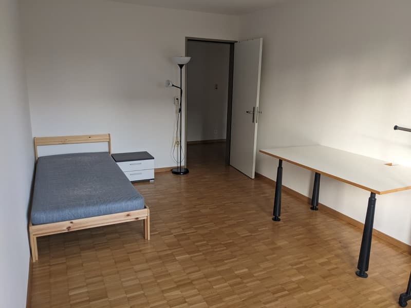 Room at Schwerzenbach train station (15 min to Zurich HB) (2)