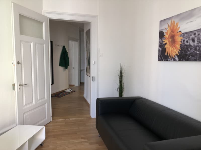 Room in shared flat Central Zurich (2)