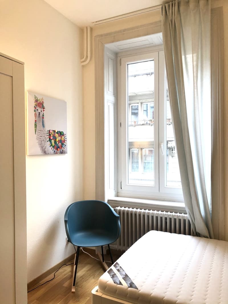 Room in shared flat Central Zurich (4)