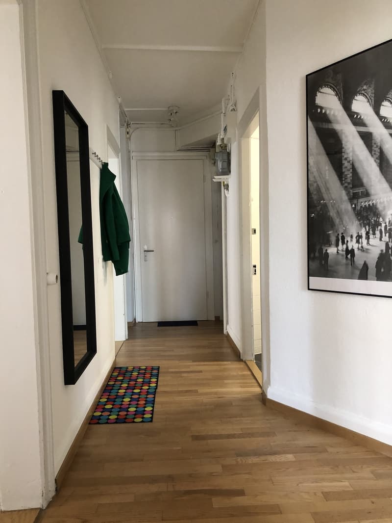 Room in shared flat Central Zurich (7)