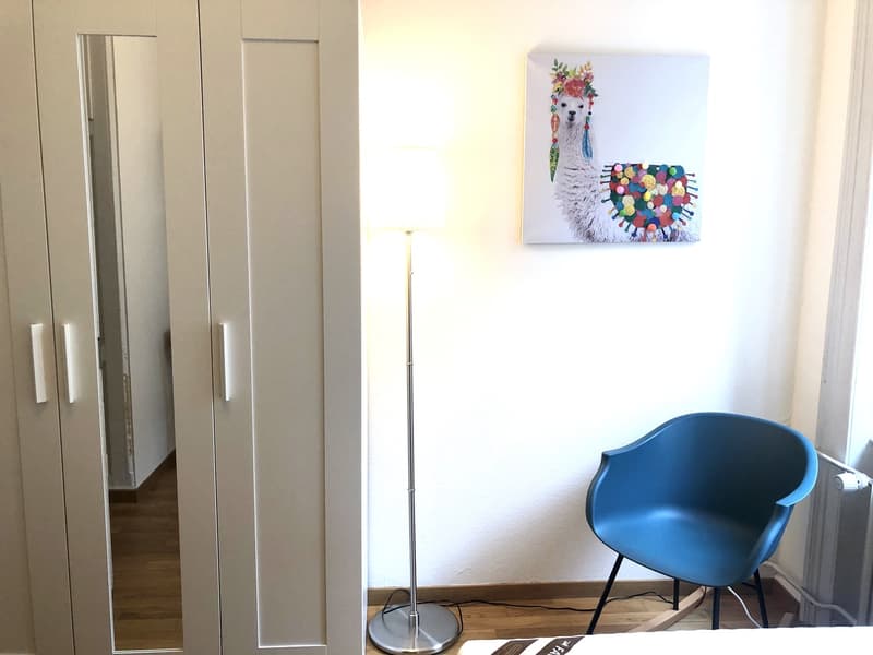 Room in shared flat Central Zurich (5)