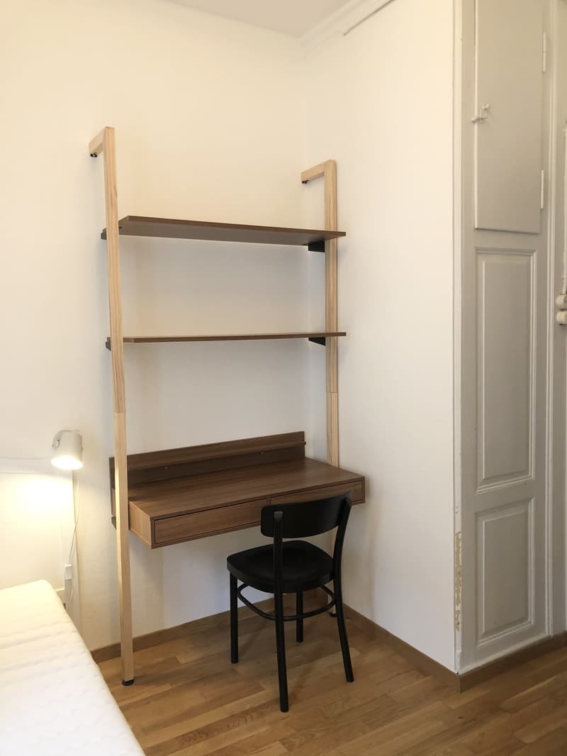 Room in shared flat Central Zurich (3)