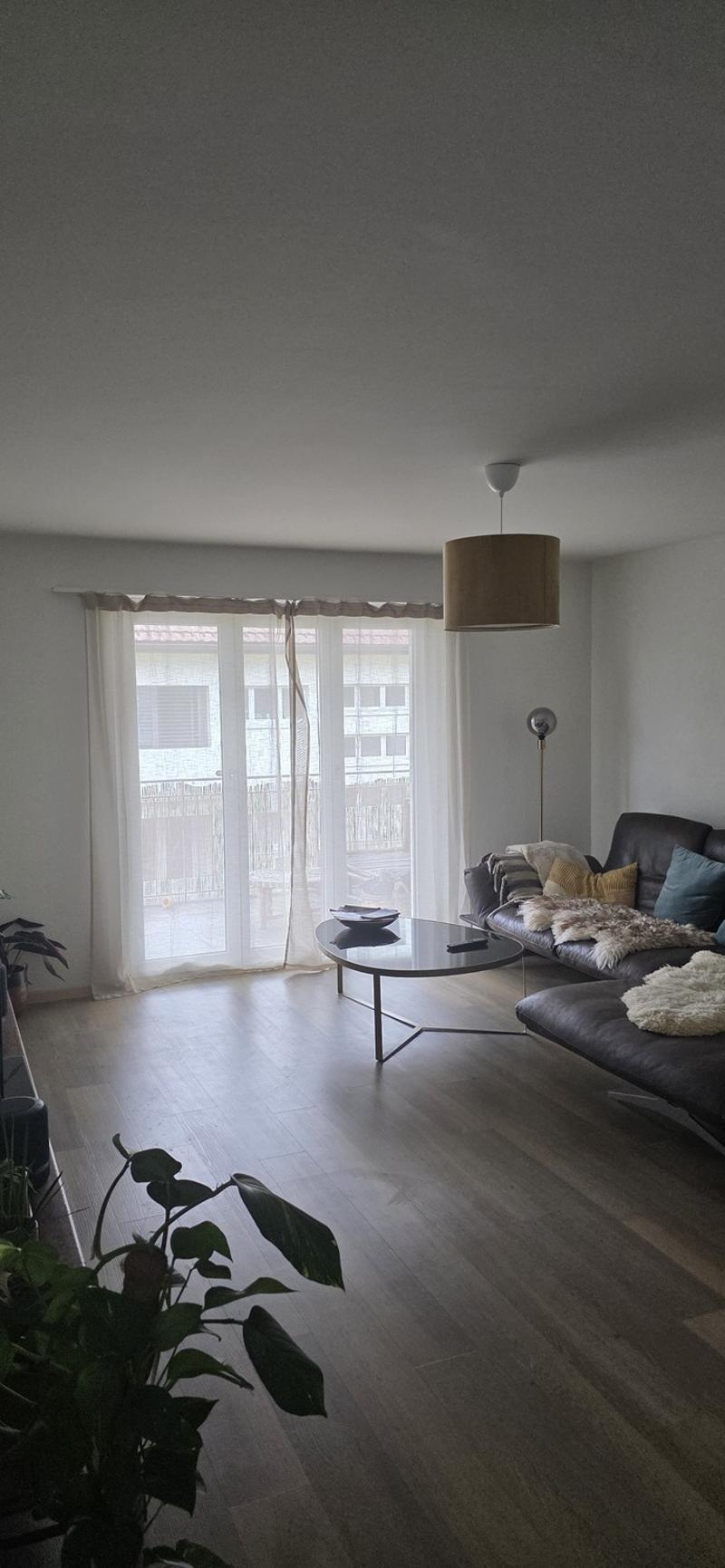 Helle 4.5 Zimmer Wohnung (4)