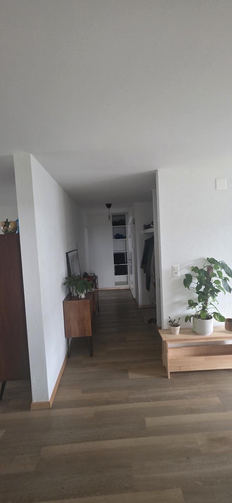 Helle 4.5 Zimmer Wohnung (2)