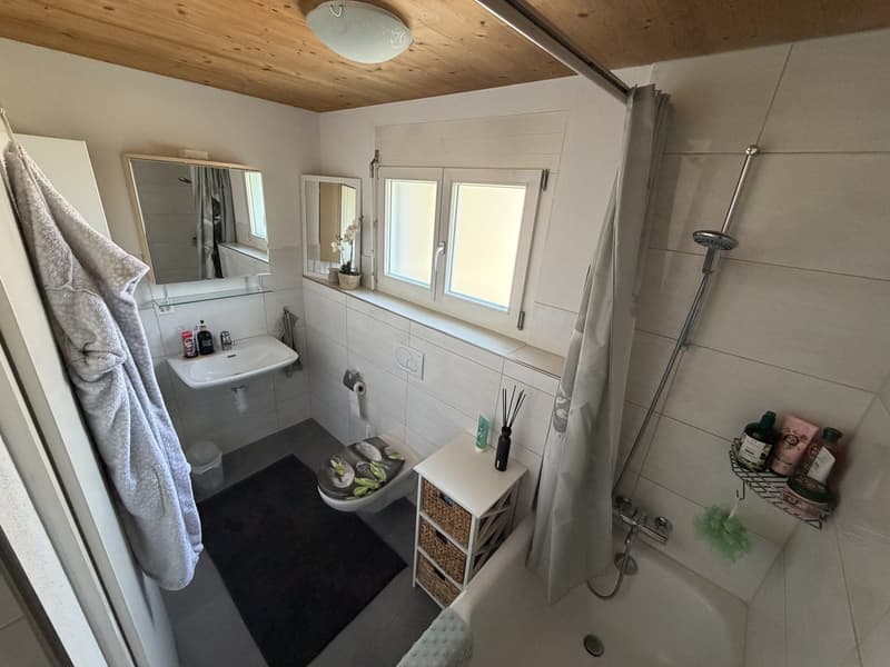 4,5-Zimmer-Wohnung im Stil eines Reiheneinfamilienhauses (7)