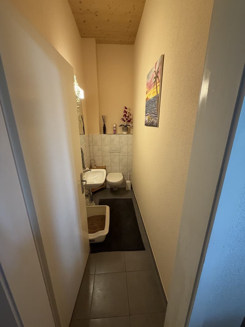4,5-Zimmer-Wohnung im Stil eines Reiheneinfamilienhauses (9)