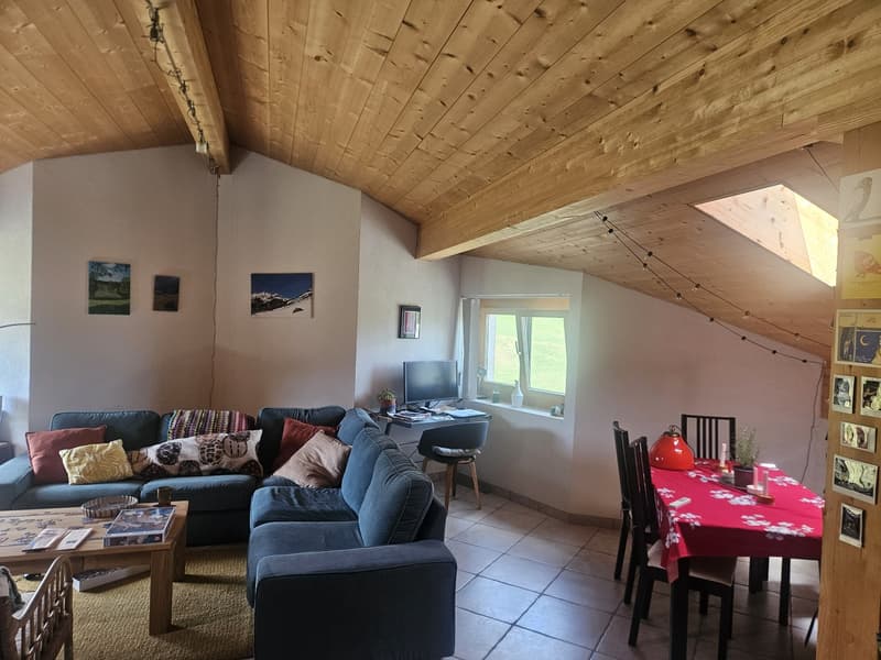 Geräumige 1-Zimmer-Dachgeschosswohnung in Frauenkirch. 2 Minuten zu Fuß von der Bahnhaltestelle entfernt. (7)