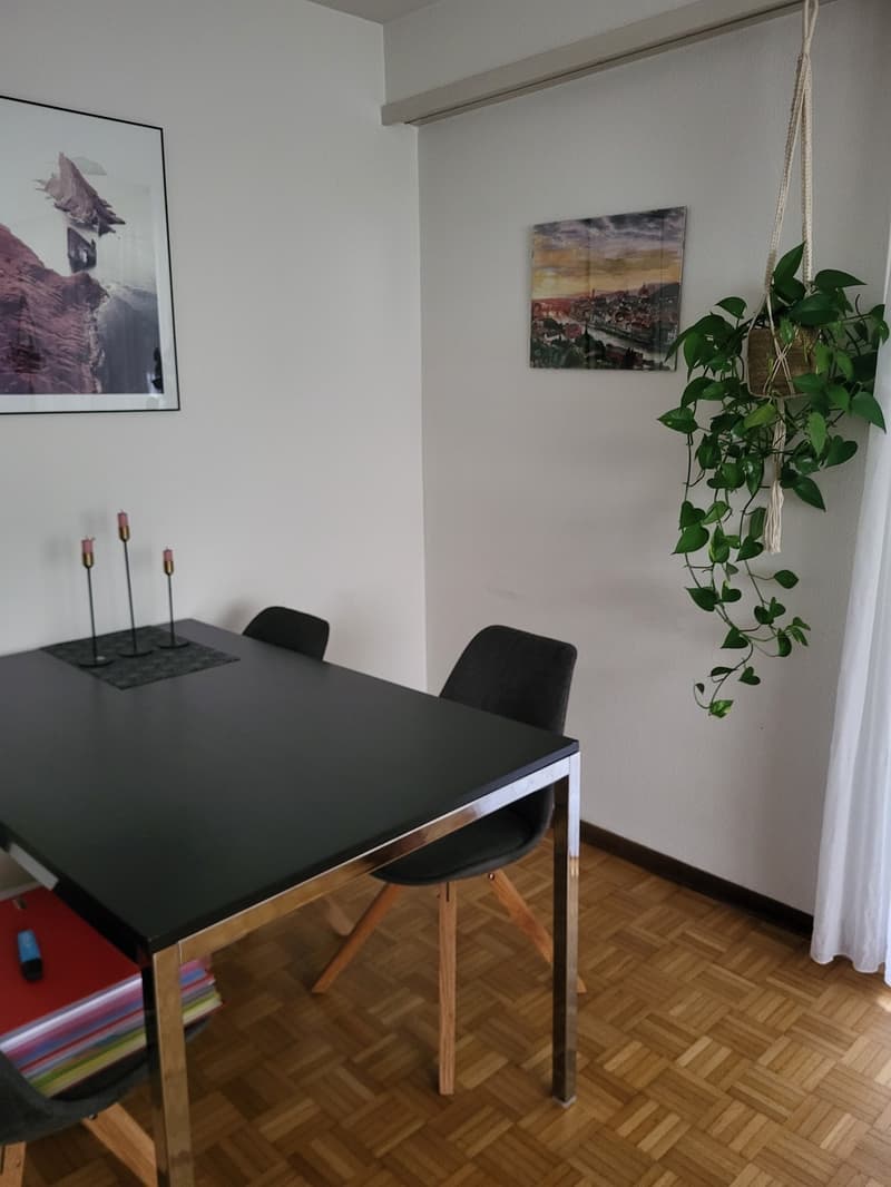 WG Zimmer in 3 Zimmerwohnung befristet unterzuvermieten (4)