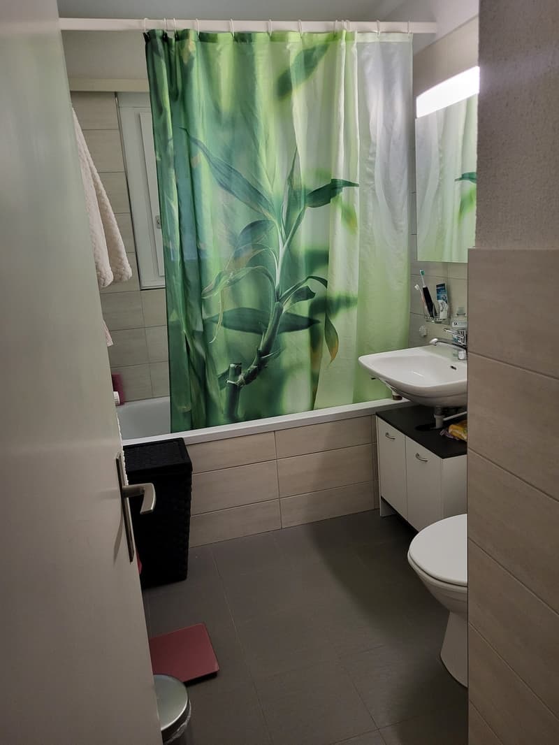 WG Zimmer in 3 Zimmerwohnung befristet unterzuvermieten (6)