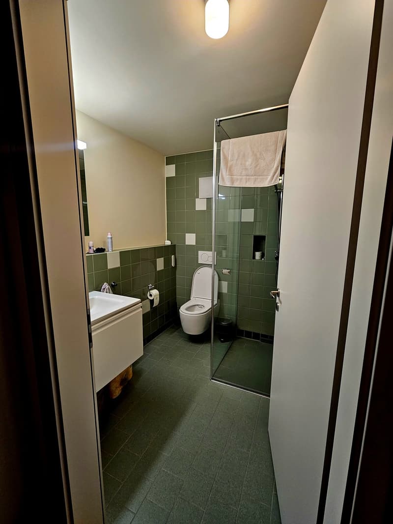 Modern 2.5 room apartment in the heart of Lucerne (2)
