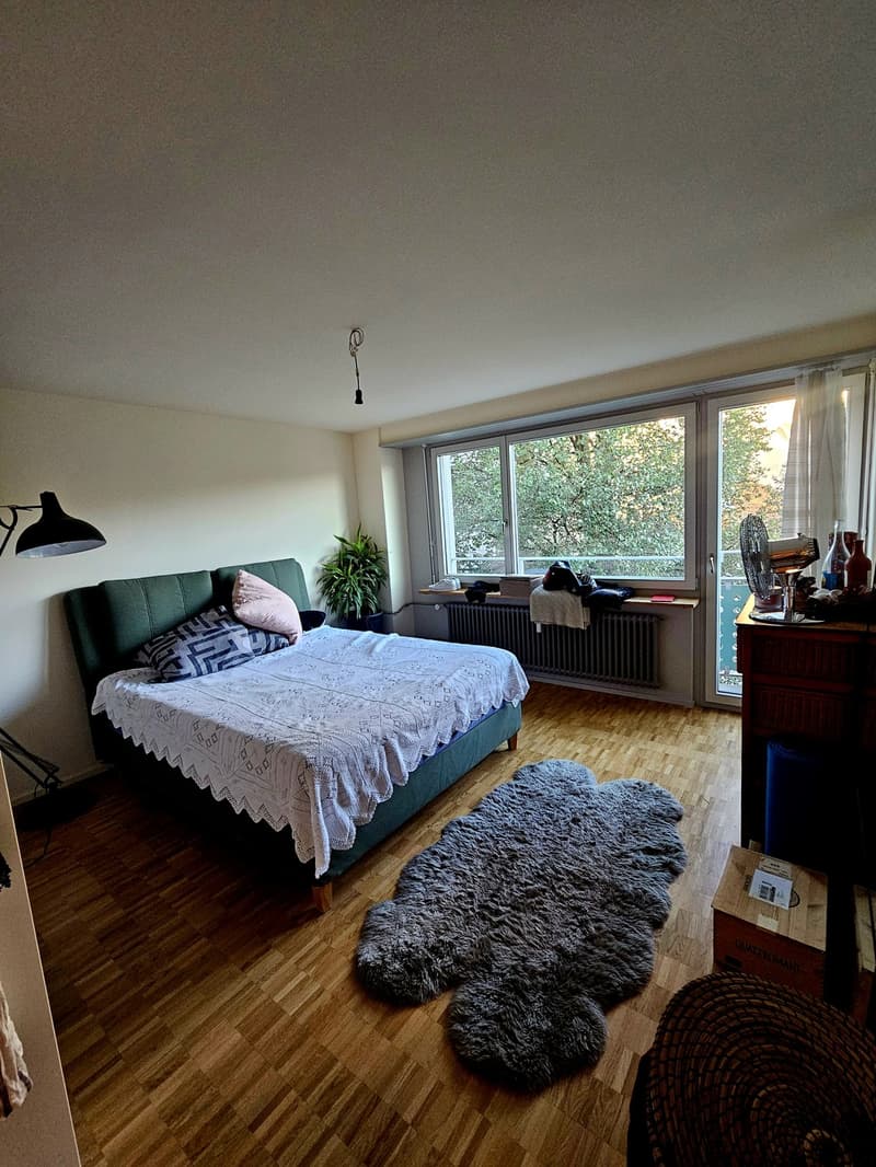 Modern 2.5 room apartment in the heart of Lucerne (1)