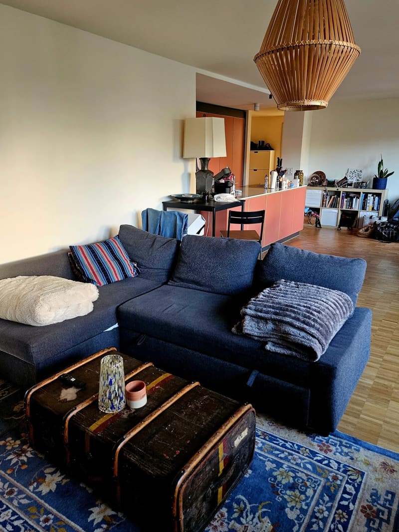 Modern 2.5 room apartment in the heart of Lucerne (7)