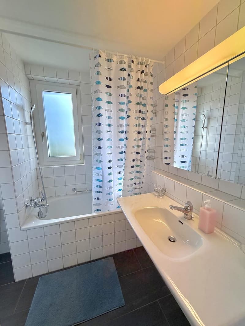 Grosses Zimmer in Gehdistanz zur ETH Hönggerberg :) (6)