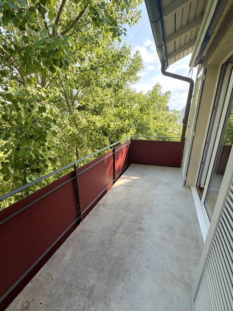 Grosses Zimmer in Gehdistanz zur ETH Hönggerberg :) (9)