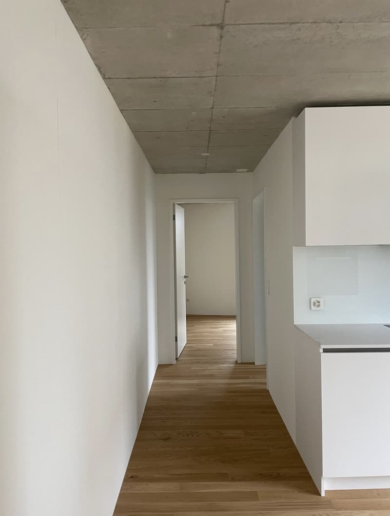 3.5 Zimmerwohnung EG (1)