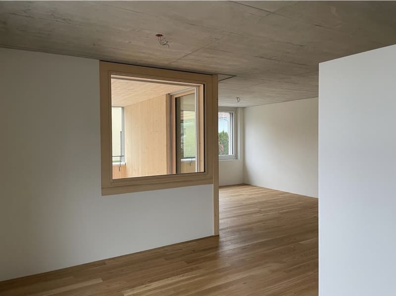 3.5 Zimmerwohnung EG (7)