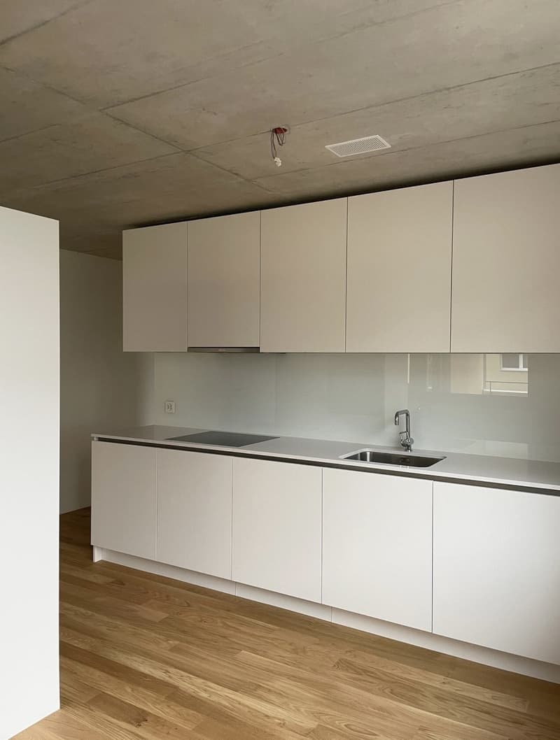 3.5 Zimmerwohnung EG (3)