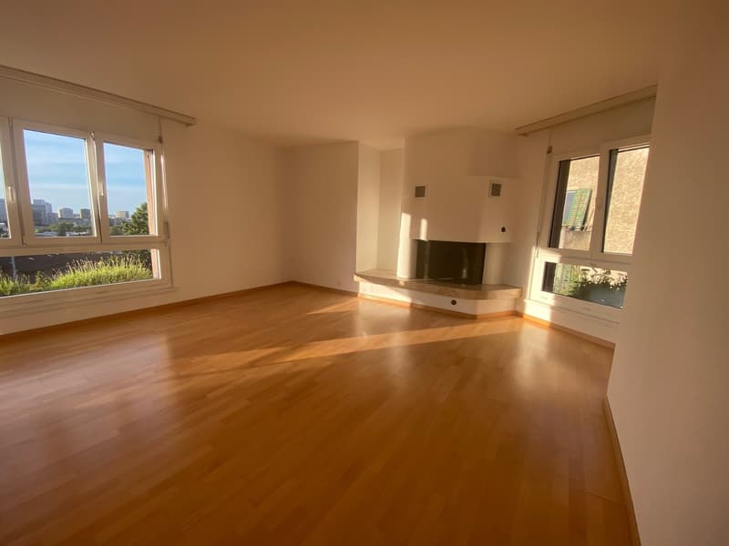 Helle 2,5-Zimmer-Wohnung mit Balkon und Weitsicht am Zürichberg (1)