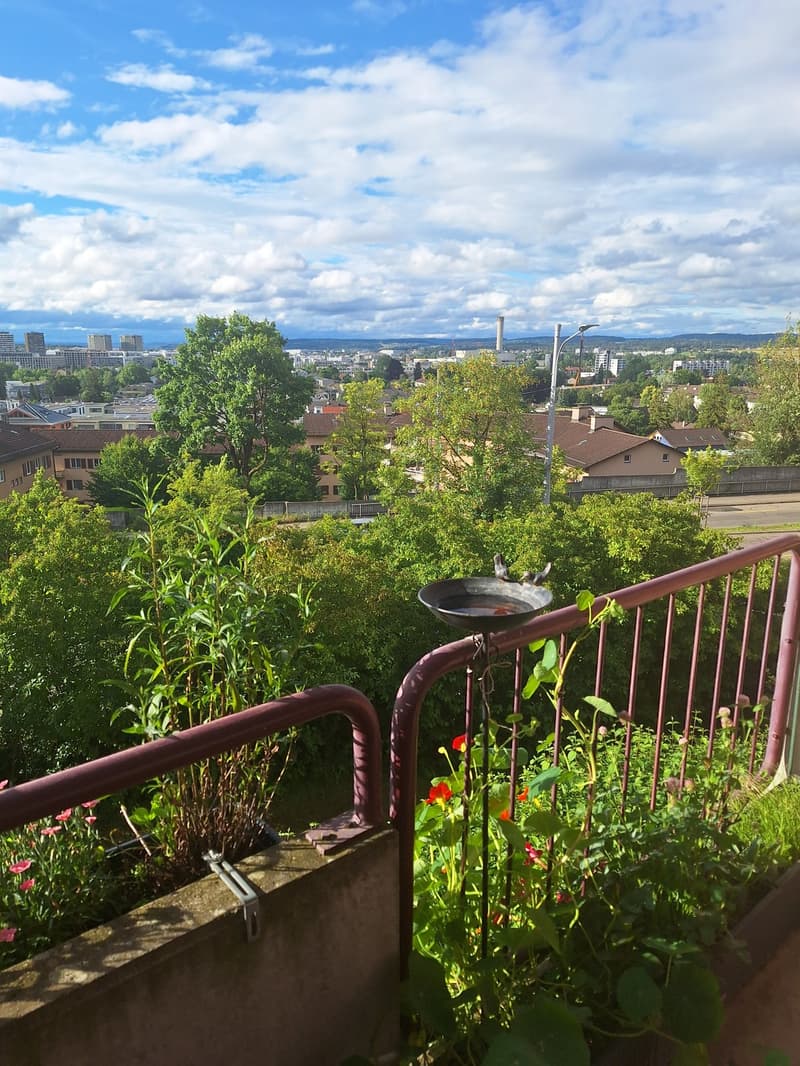 Helle 2,5-Zimmer-Wohnung mit Balkon und Weitsicht am Zürichberg (2)