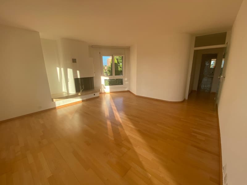 Helle 2,5-Zimmer-Wohnung mit Balkon und Weitsicht am Zürichberg (5)
