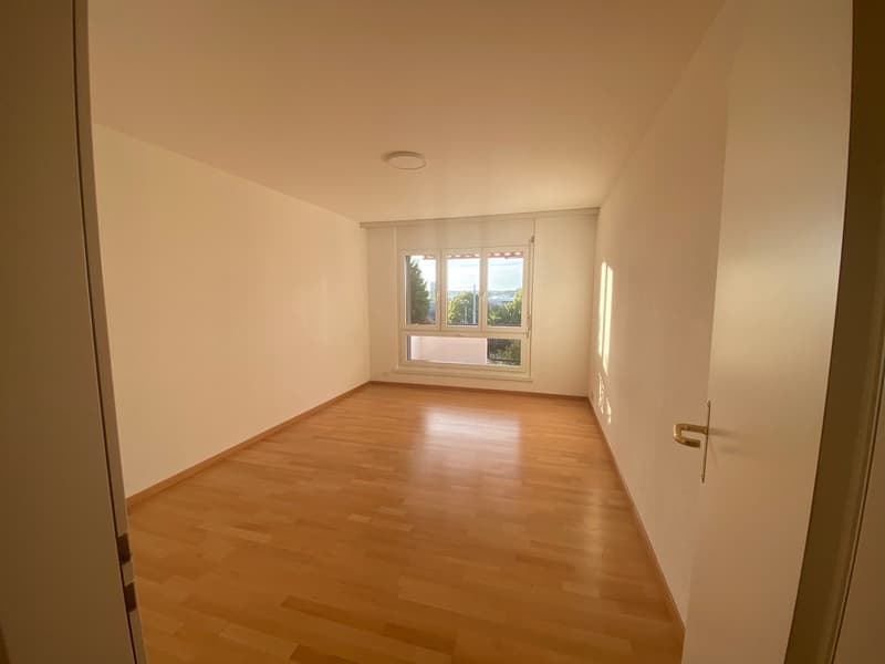 Helle 2,5-Zimmer-Wohnung mit Balkon und Weitsicht am Zürichberg (8)