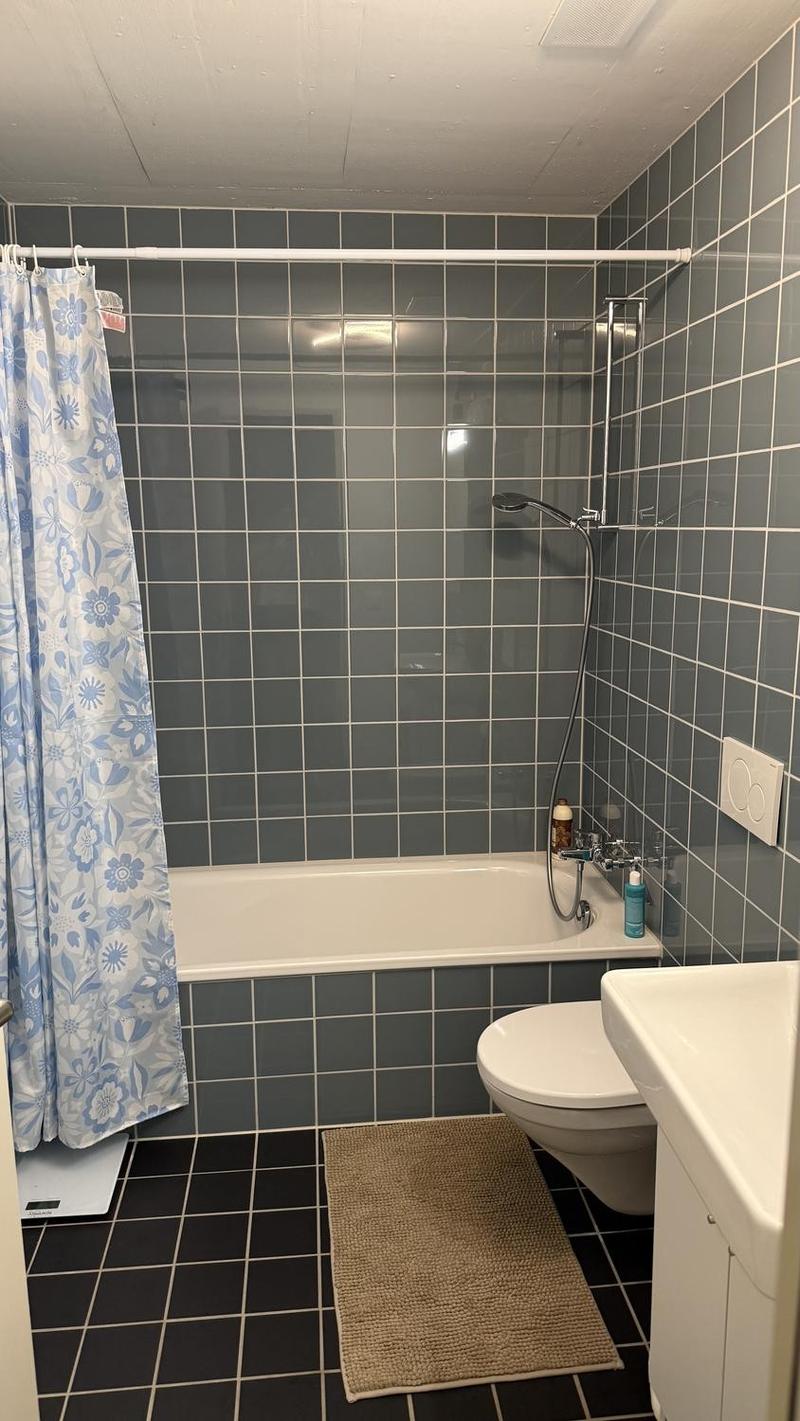4.5-Zimmer-Wohnung in Horgen inkl. 2 Parkplätzen Nachmieter gesucht (7)