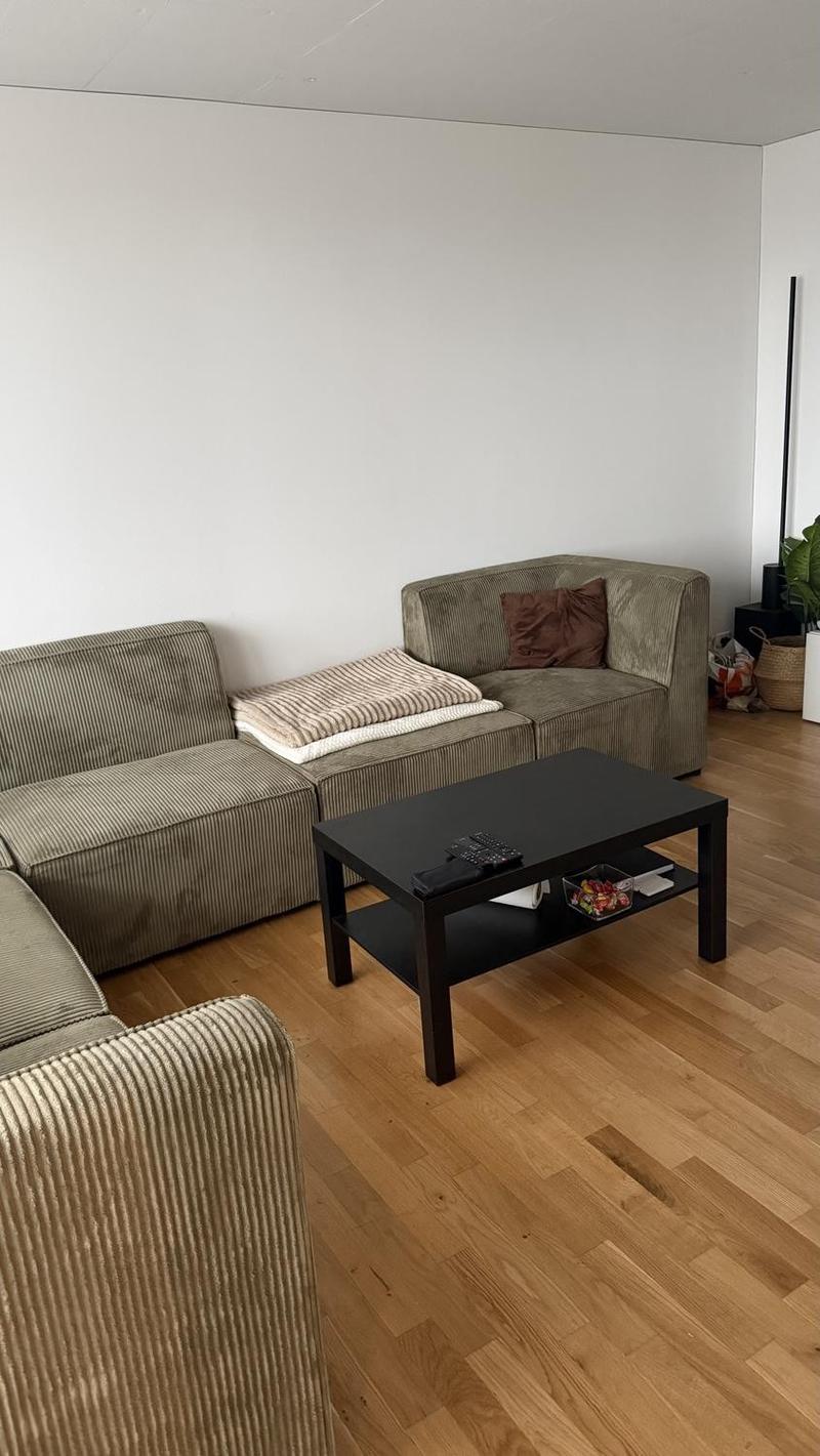 4.5-Zimmer-Wohnung in Horgen inkl. 2 Parkplätzen Nachmieter gesucht (13)