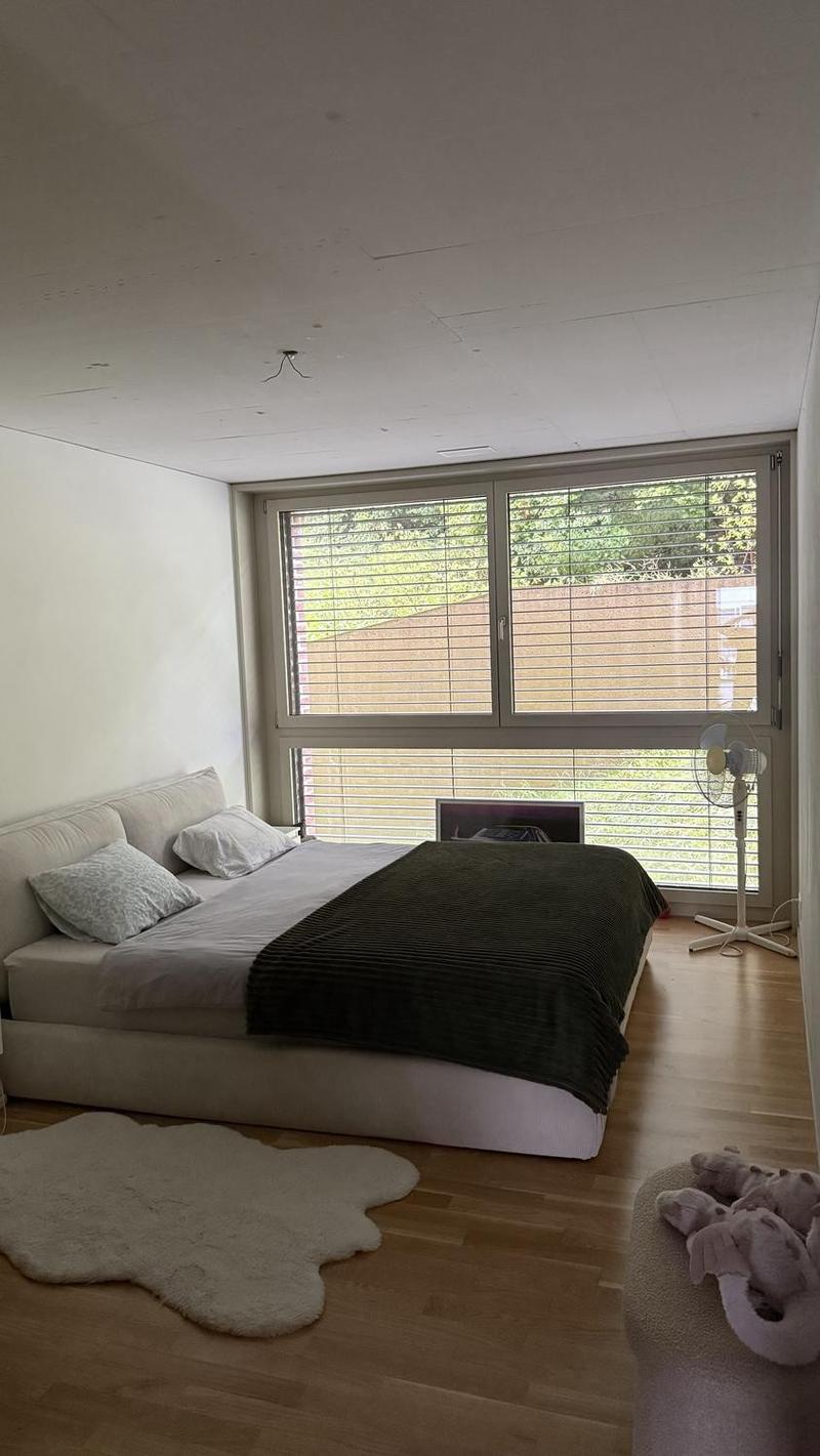 4.5-Zimmer-Wohnung in Horgen inkl. 2 Parkplätzen Nachmieter gesucht (5)