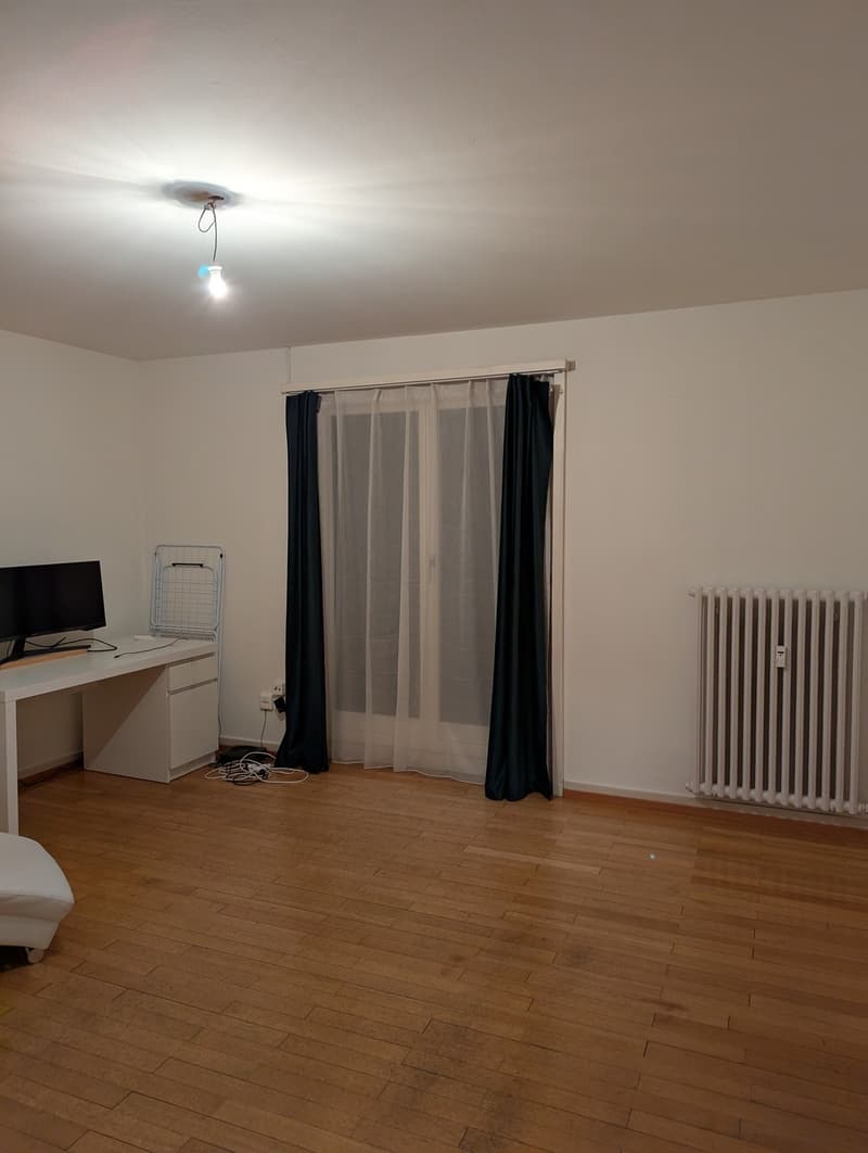 Rent a 2 ½ rooms apartment downtown Zug (5)
