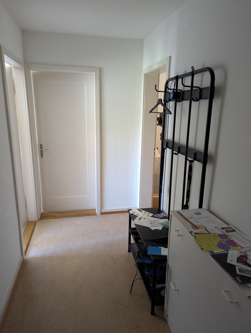 Rent a 2 ½ rooms apartment downtown Zug (2)