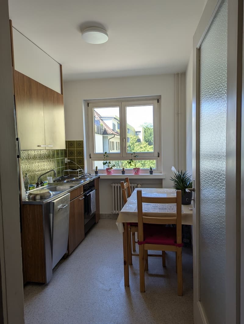Rent a 2 ½ rooms apartment downtown Zug (1)