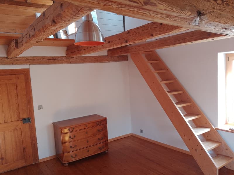 48 m2 Zimmer LILIA: 3 ZIMMER ALS MAISONETTE - RIEGELHAUS BUBIKON (5)
