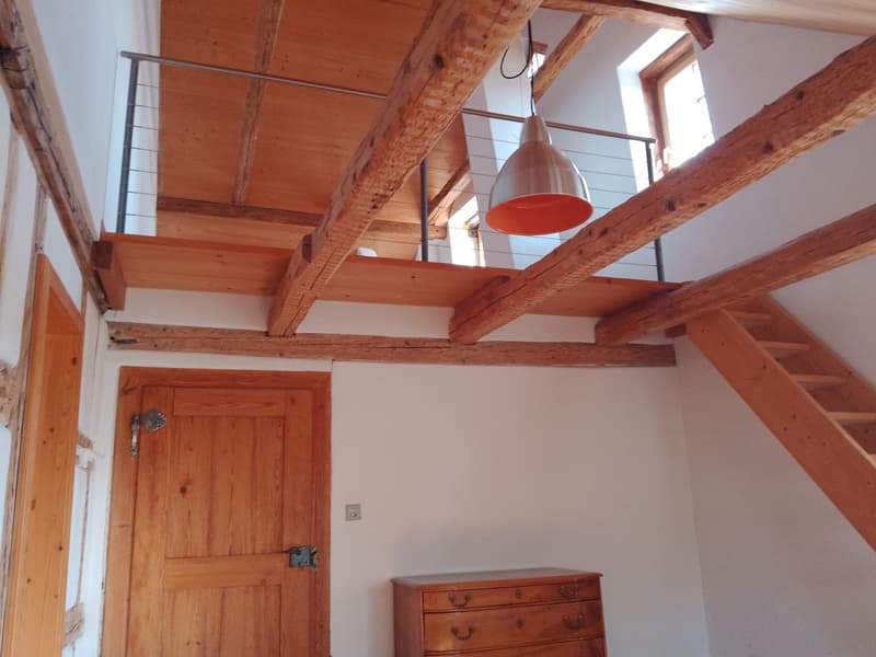 48 m2 Zimmer LILIA: 3 ZIMMER ALS MAISONETTE - RIEGELHAUS BUBIKON (3)