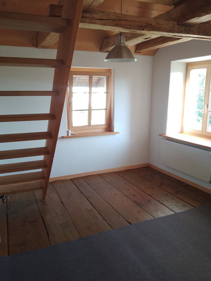 48 m2 Zimmer LILIA: 3 ZIMMER ALS MAISONETTE - RIEGELHAUS BUBIKON (10)
